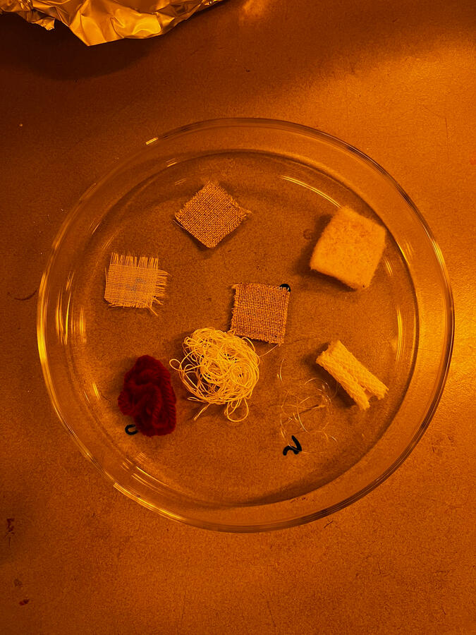 Untitled Untitled